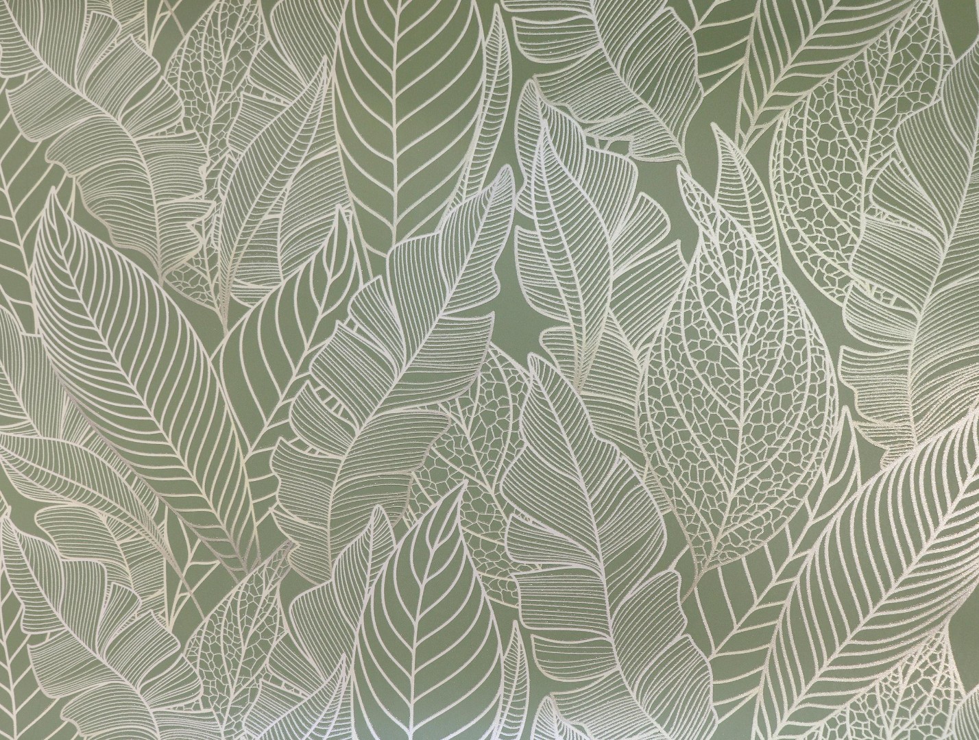 Обои Элизиум арт E703806 фото 1