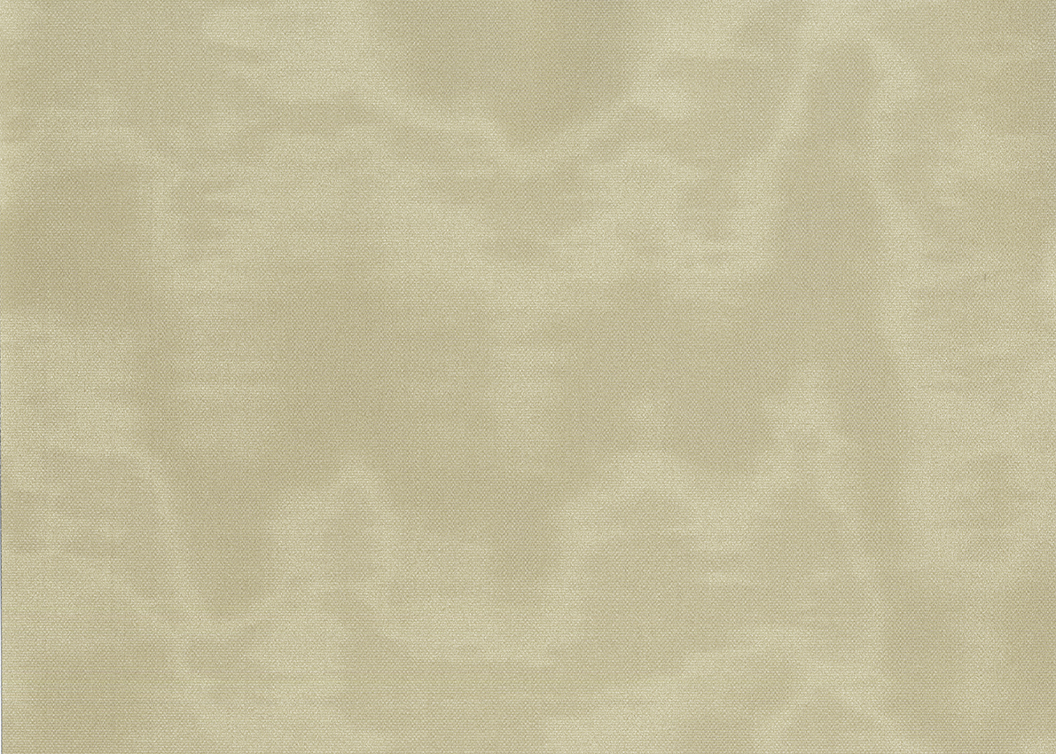 Обои Armani/Casa арт GA8 9841 фото 1