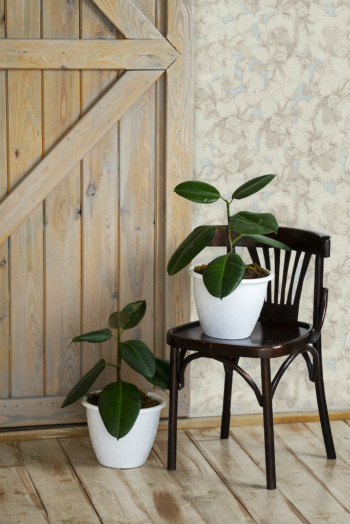 Обои МОФ арт 6211-1 фото 9