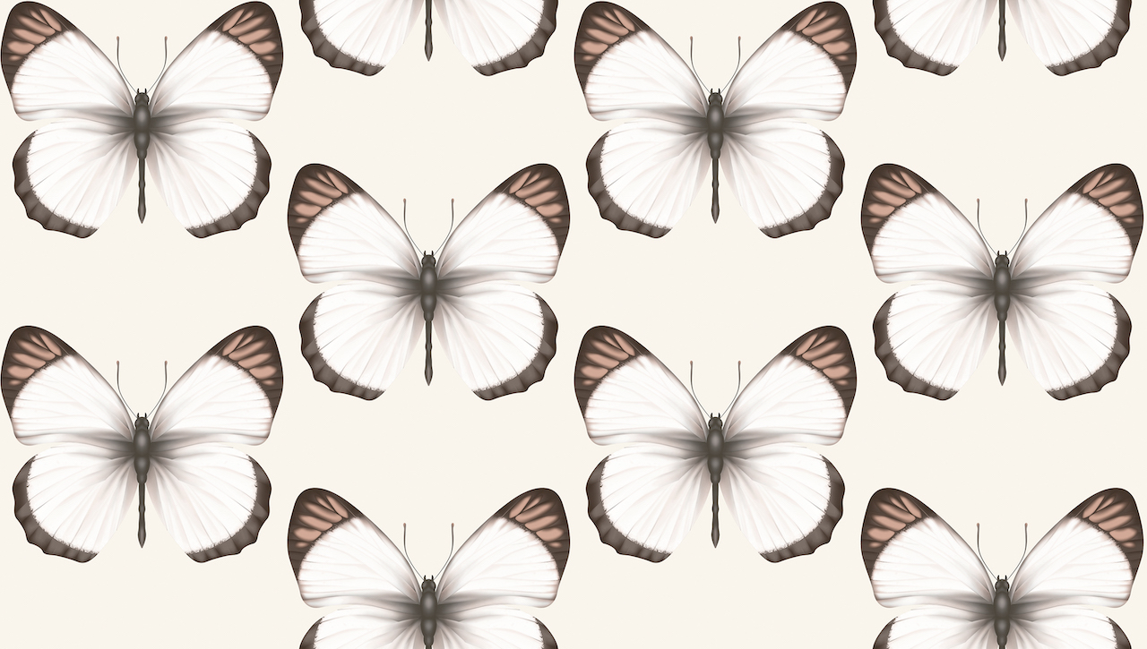 Обои Andrea Rossi арт 54401-2 фото 1