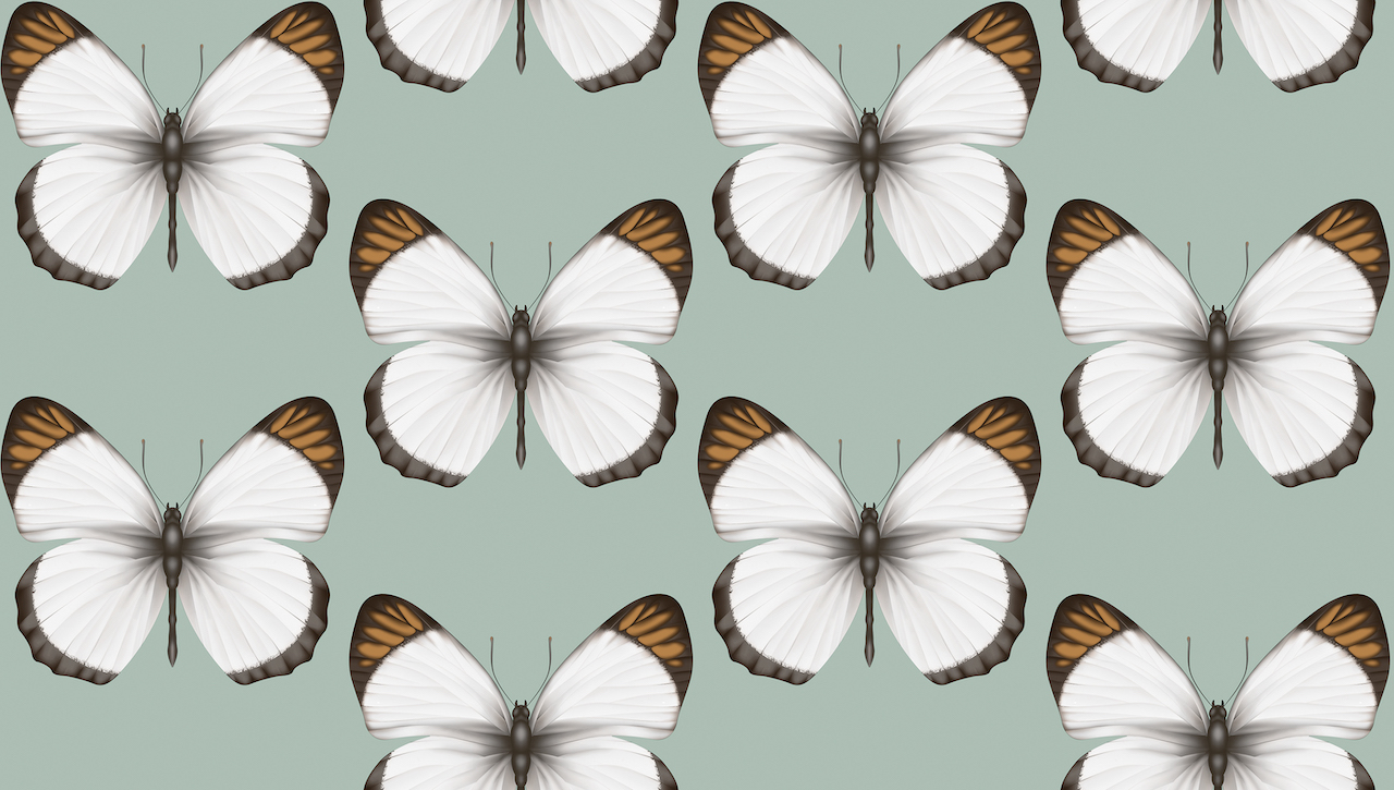 Обои Andrea Rossi арт 54401-4 фото 1