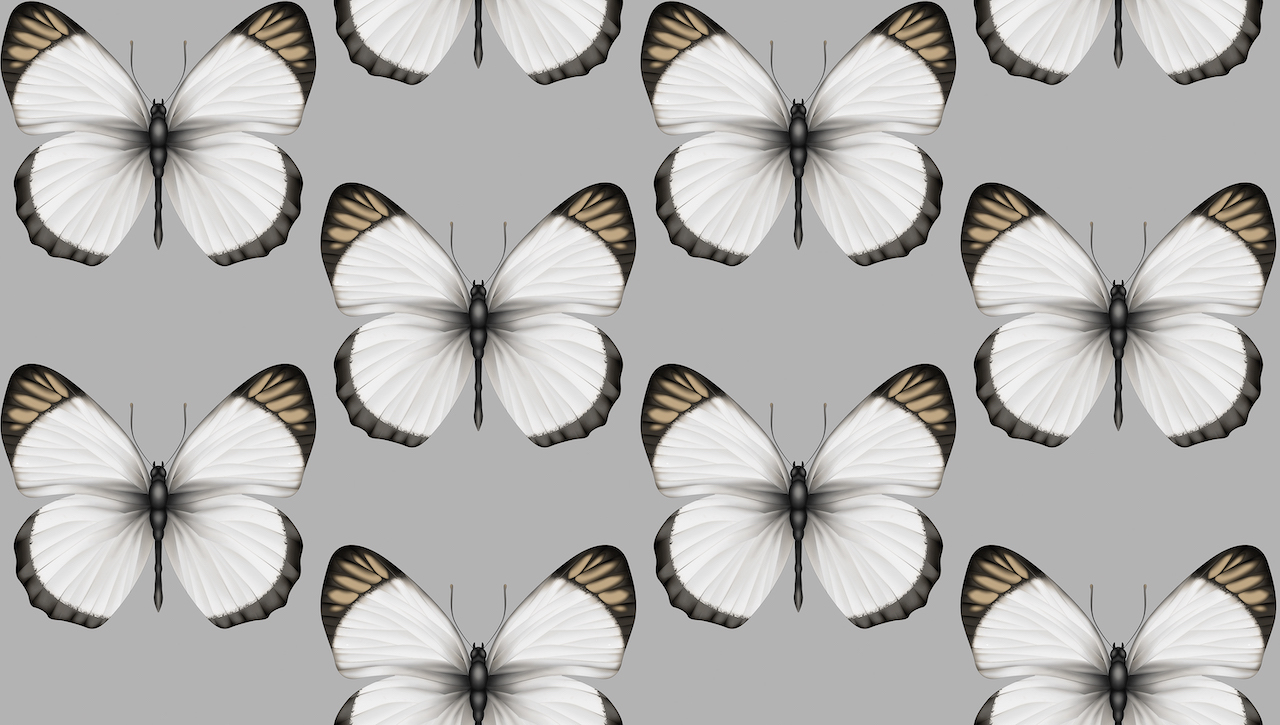 Обои Andrea Rossi арт 54401-6 фото 1