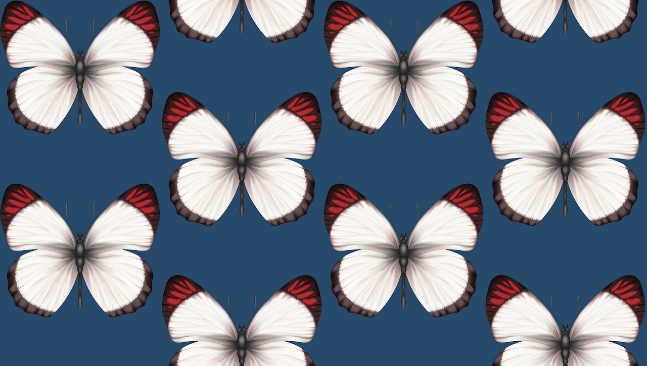 Обои Andrea Rossi арт 54401-8 фото 1