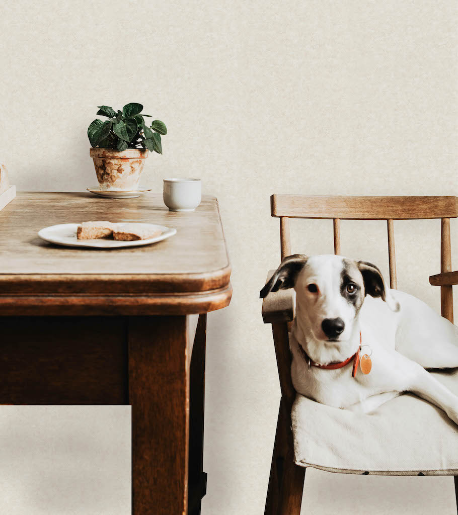 Обои МОФ арт 6254-2 фото 3