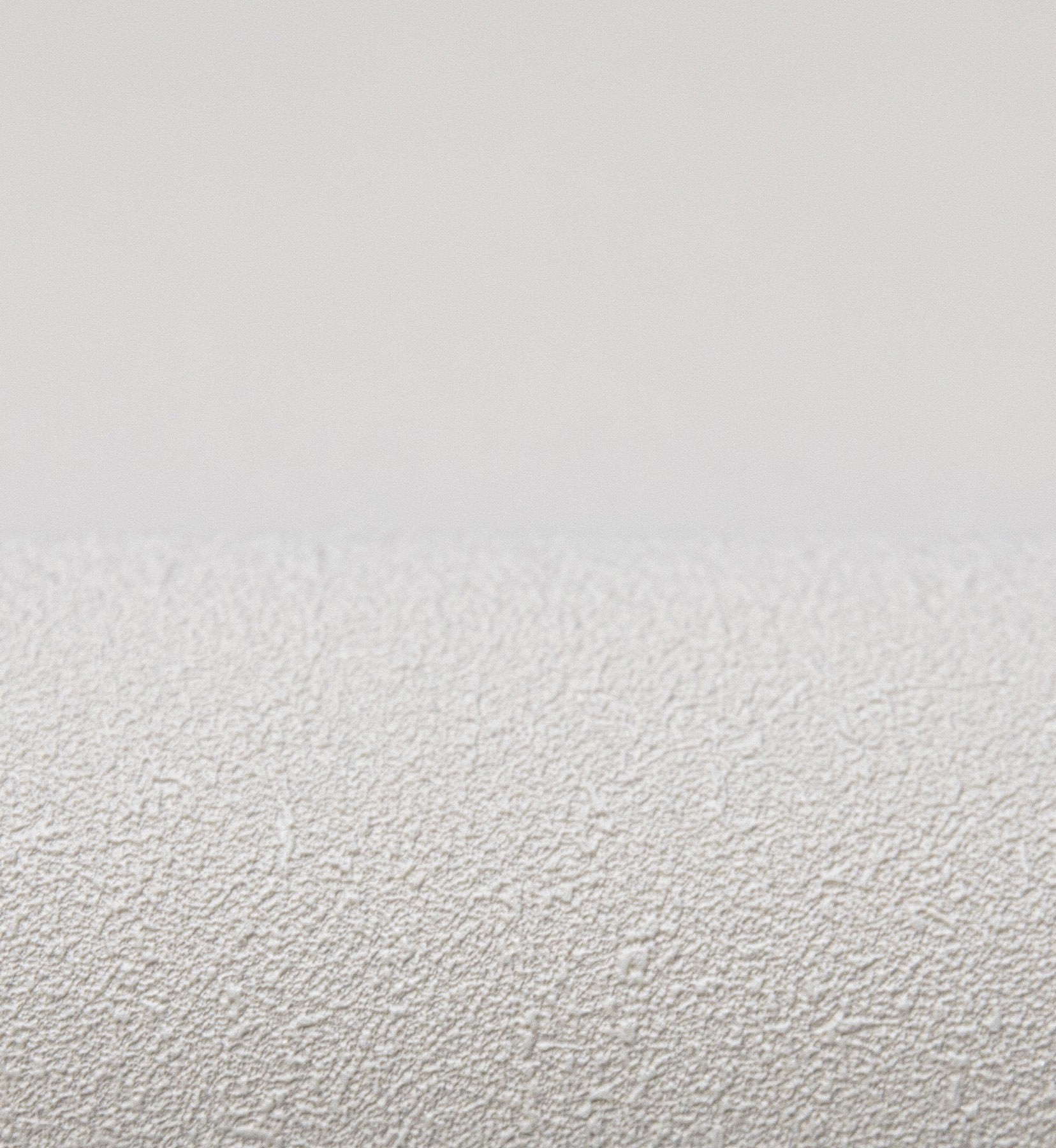 Обои WallSecret арт 8779-13 фото 4