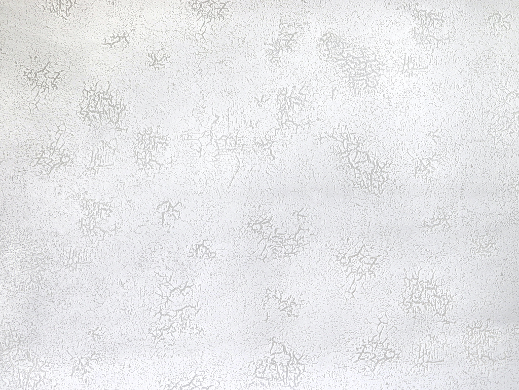 Обои Элизиум арт Е501700 фото 2