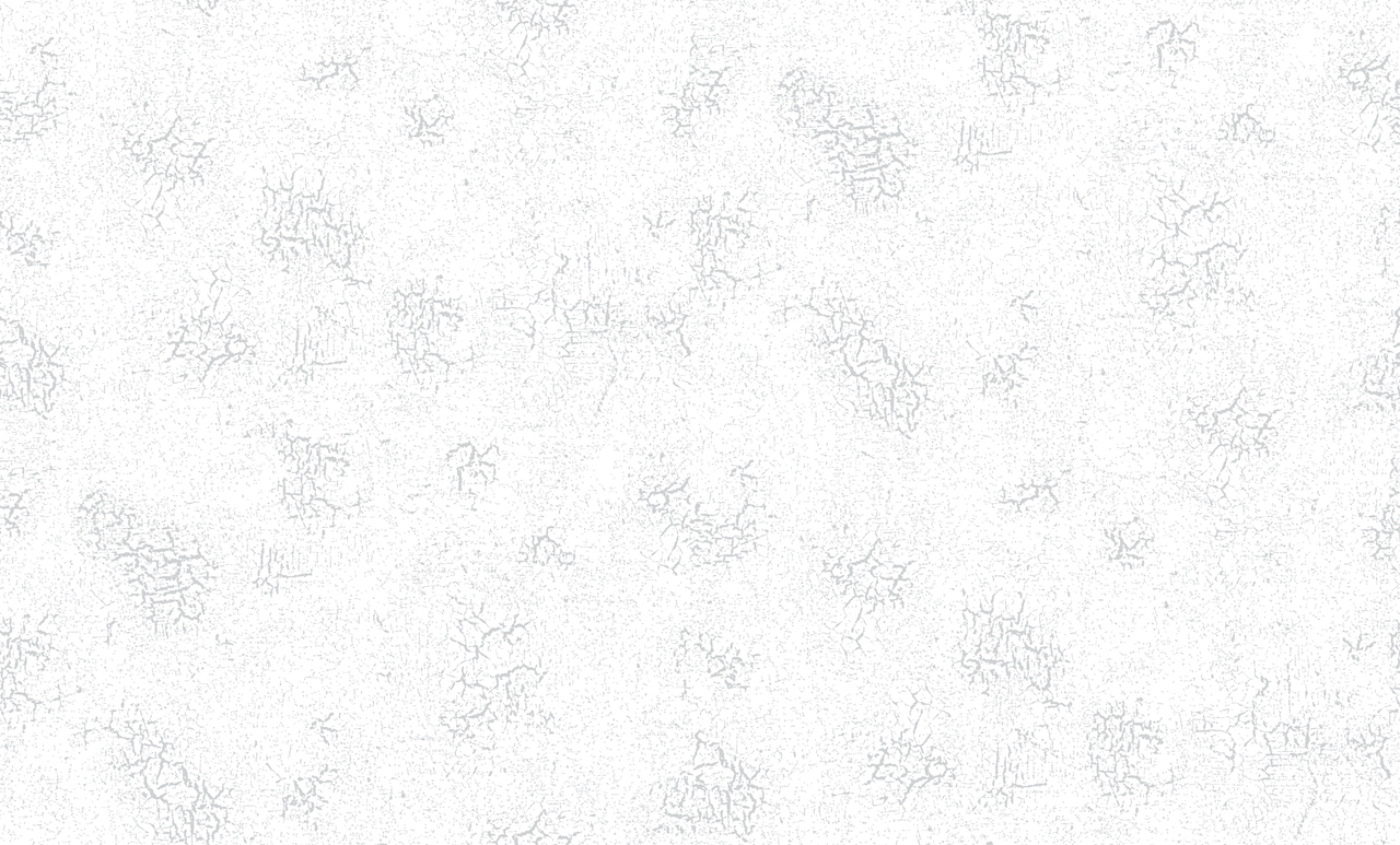 Обои Элизиум арт Е501700 фото 1