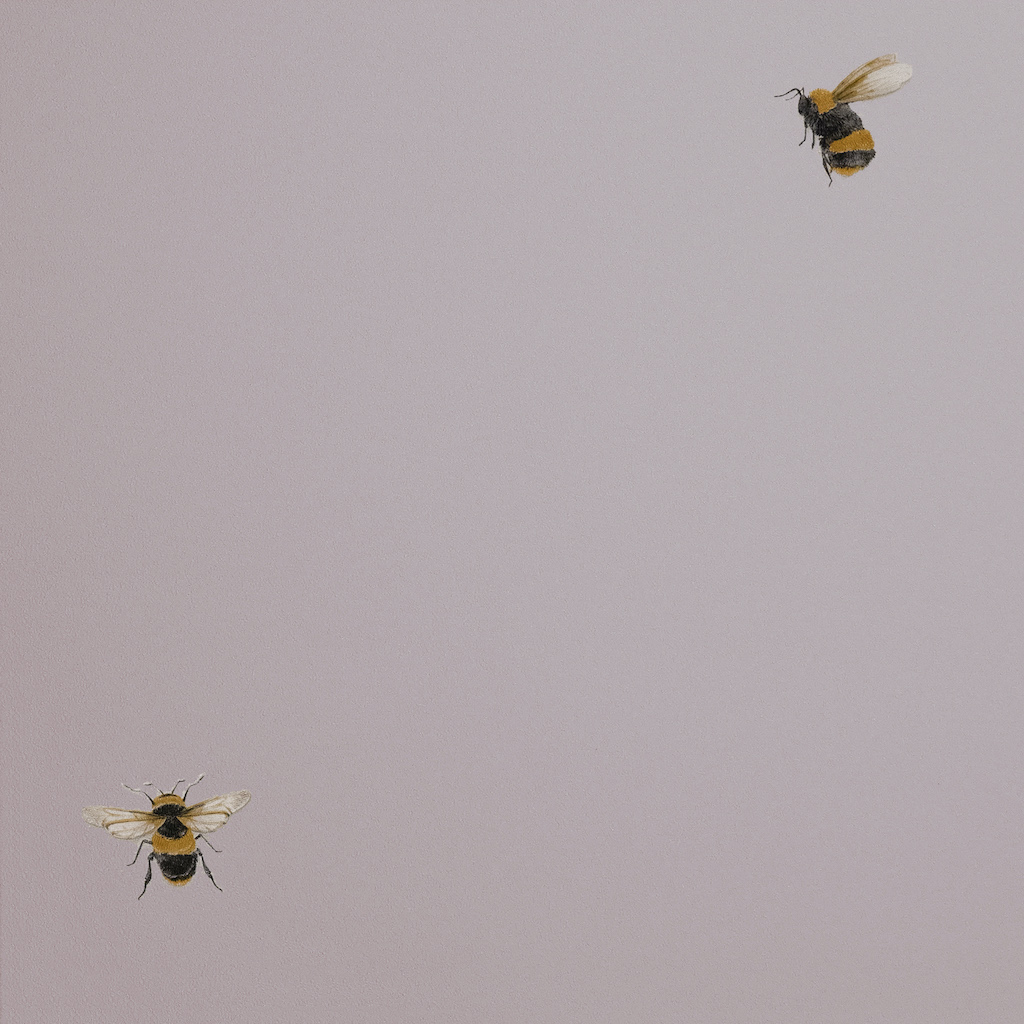 Обои Andrea Rossi арт 54419-5 фото 1