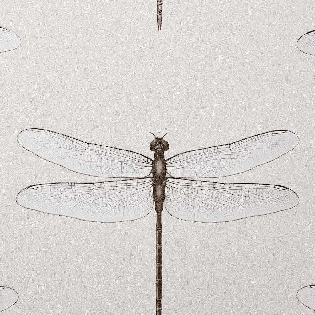 Обои Andrea Rossi арт 54426-2 фото 1