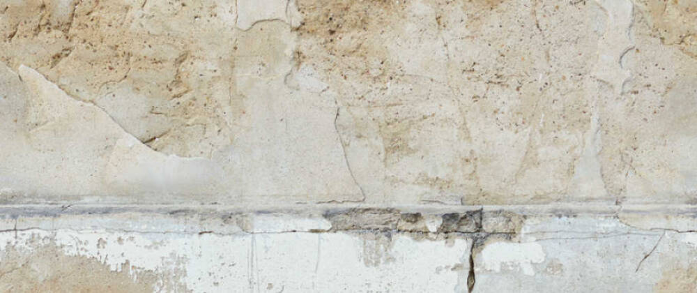 Фотообои A.S.Creation арт 39249-1 фото 1