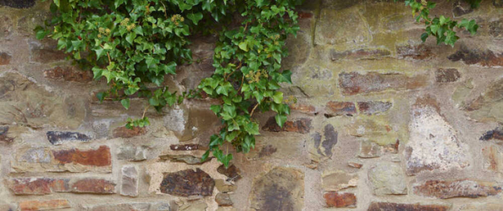 Фотообои A.S.Creation арт 39247-1 фото 1