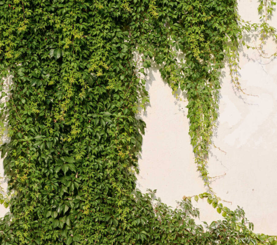 Фотообои A.S.Creation арт 39227-1 фото 1