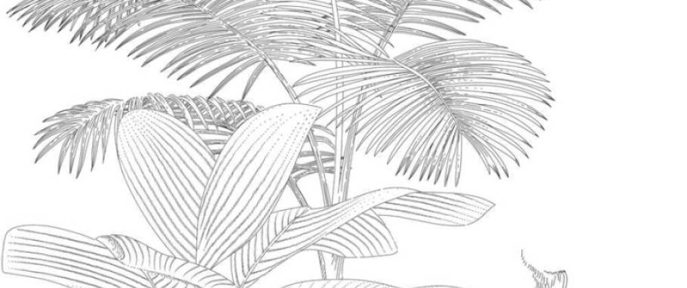 Фотообои A.S.Creation арт 39214-1 фото 1