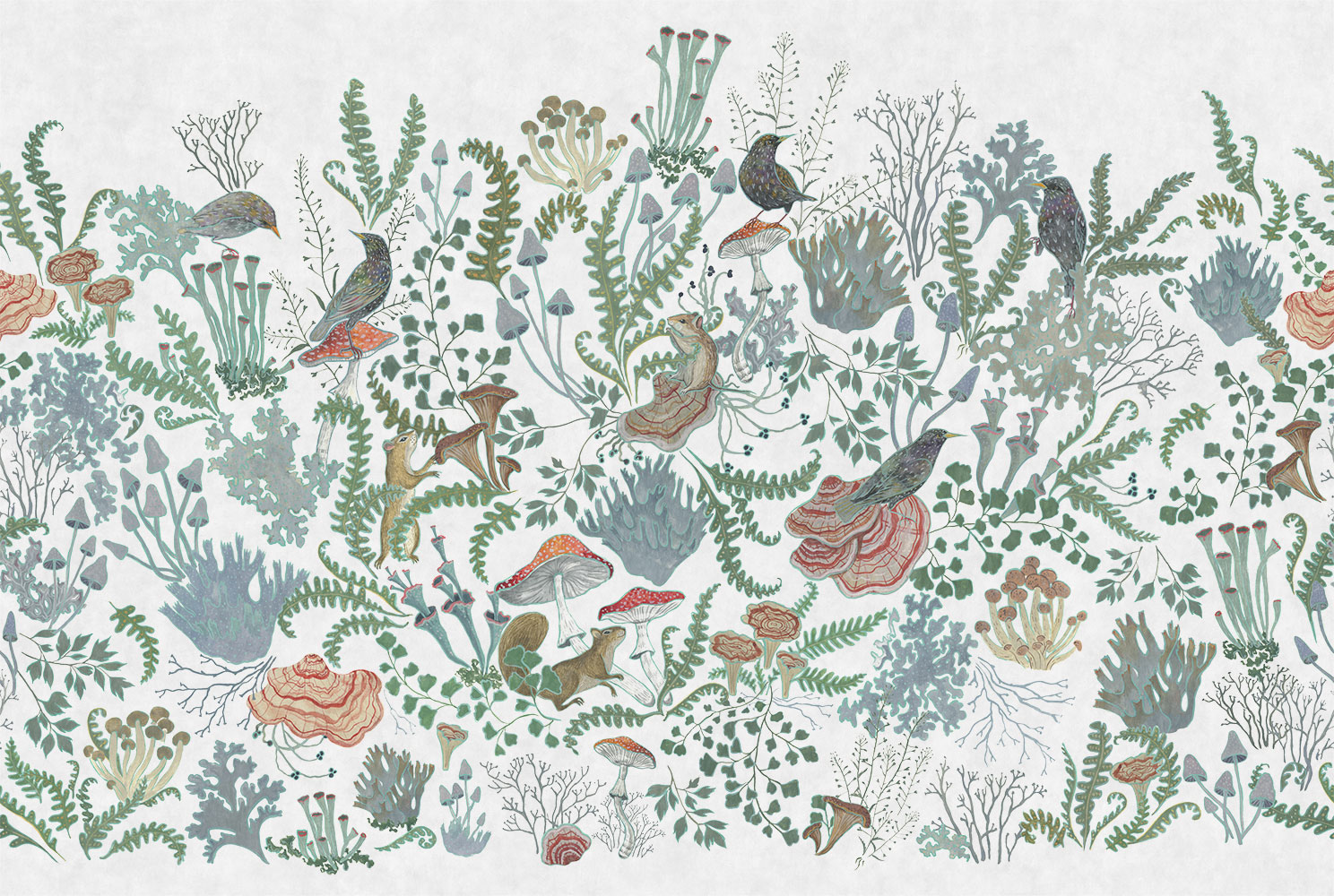 Фотообои Factura арт Starling-1 фото 1