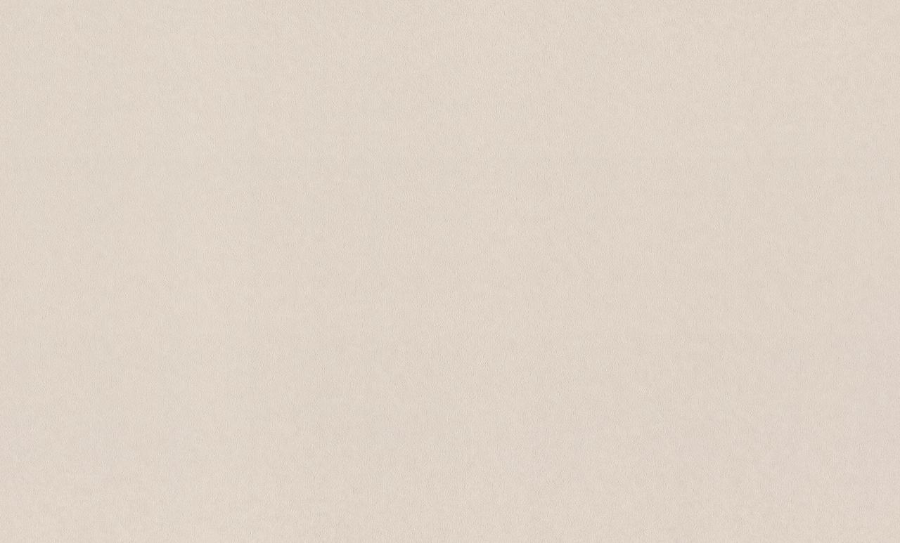 Обои Rasch арт 980349 фото 1