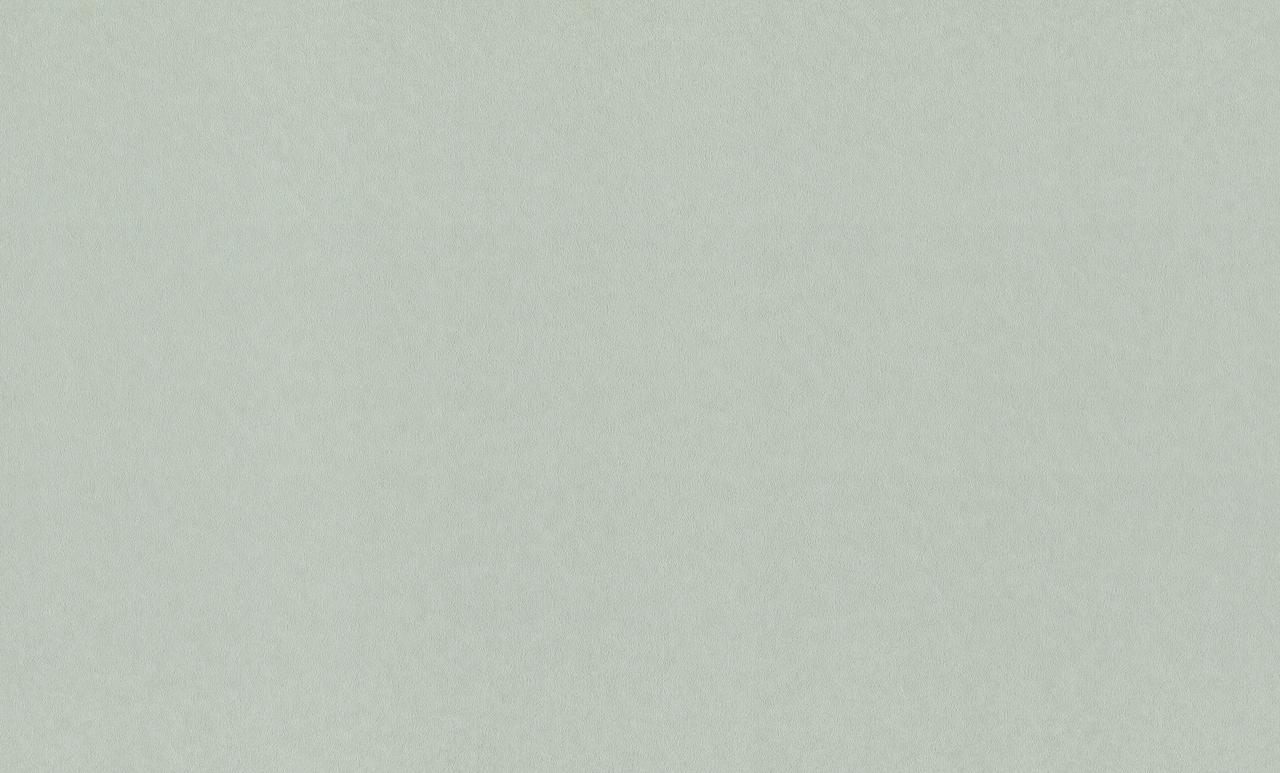 Обои Rasch арт 980356 фото 1