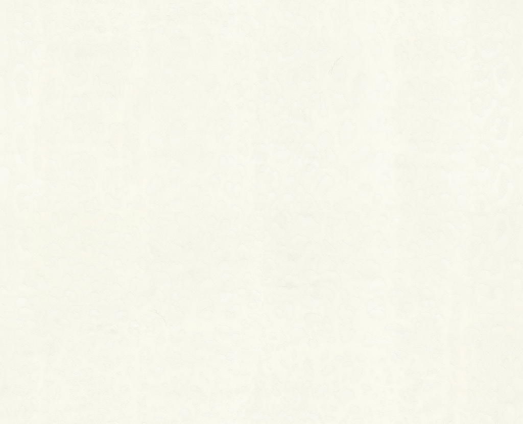 Обои Dolce&Gabbana арт 30002DG фото 1