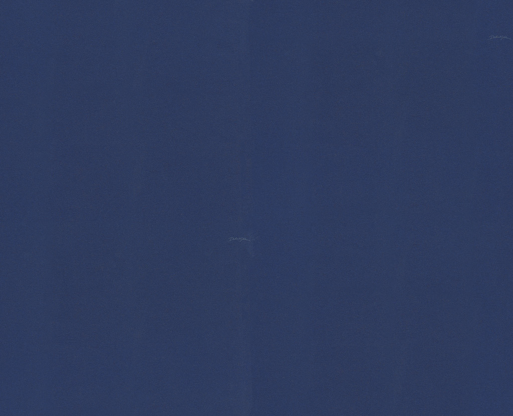 Обои Dolce&Gabbana арт 30050DG фото 1