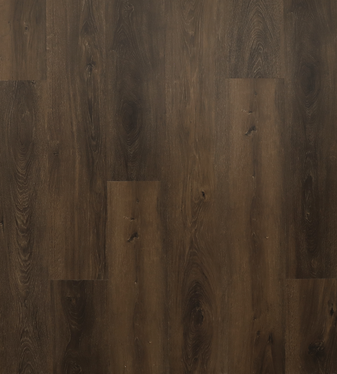 SPC Karelia арт Sea Romance Galeon фото 1