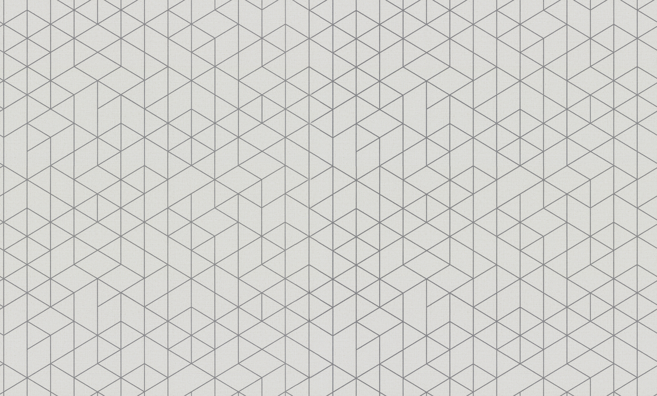 Обои Palitra Style арт SL72203-11 фото 1