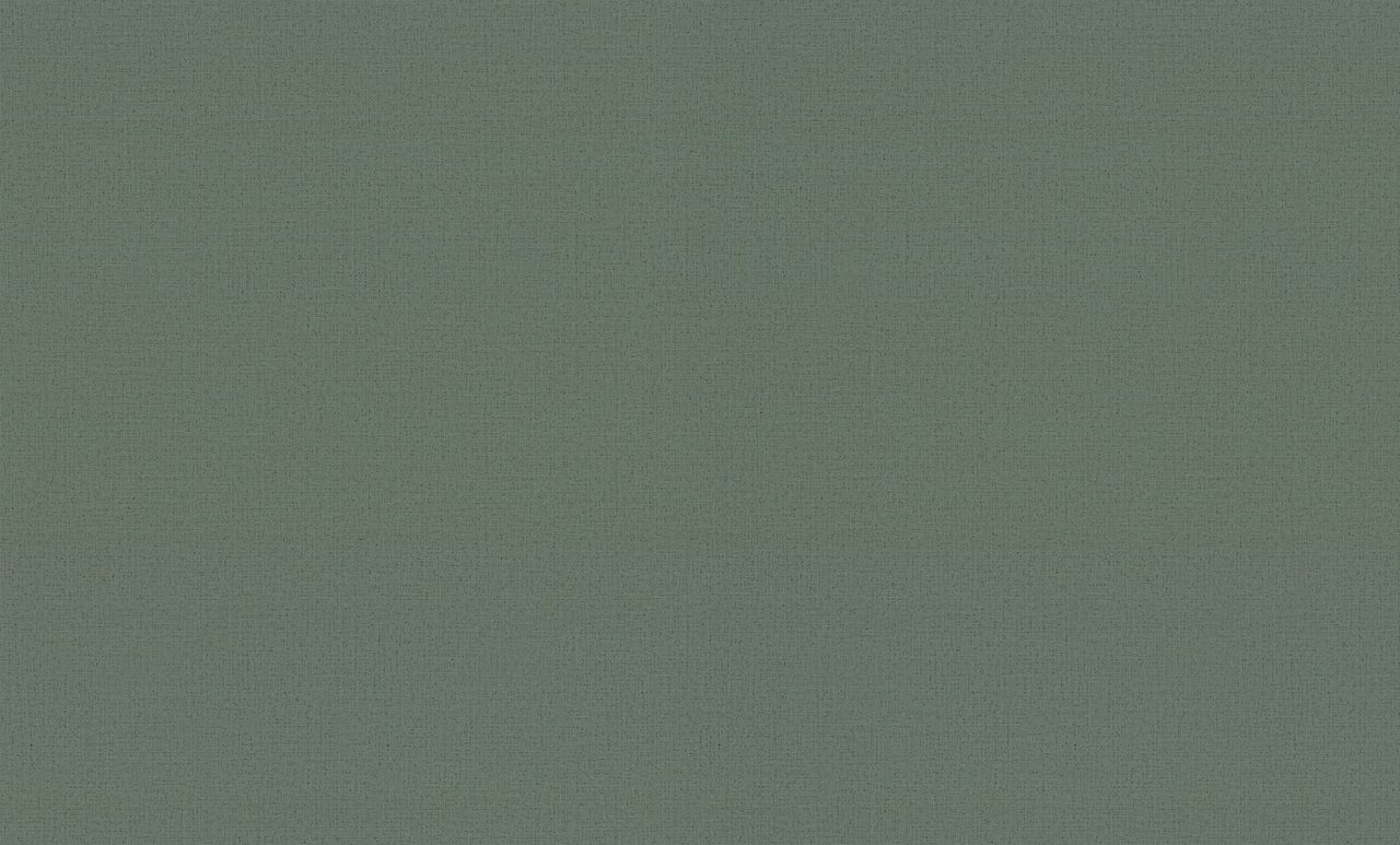 Обои Palitra Style арт SL72204-77 фото 1