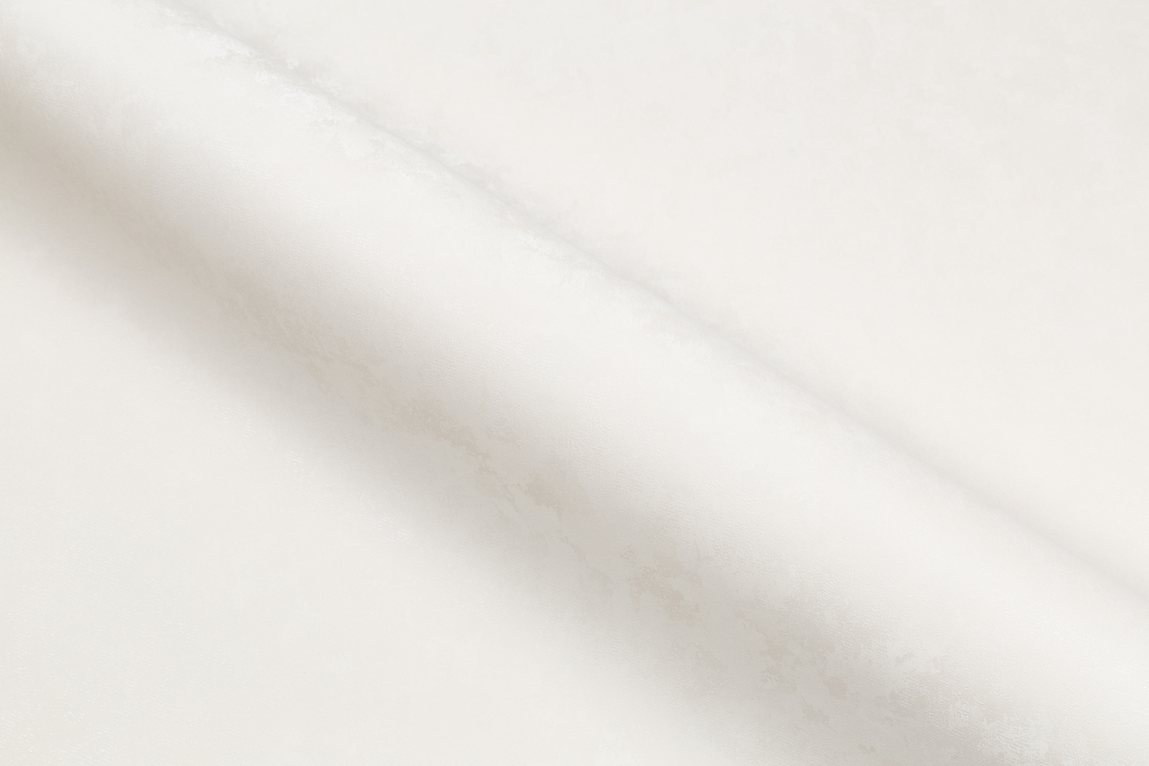 Обои Palitra Style арт SL72246-12 фото 2