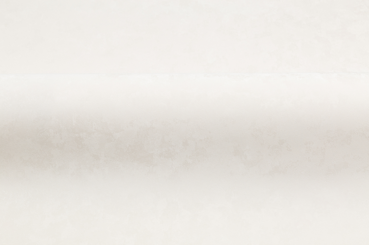 Обои Palitra Style арт SL72246-12 фото 4