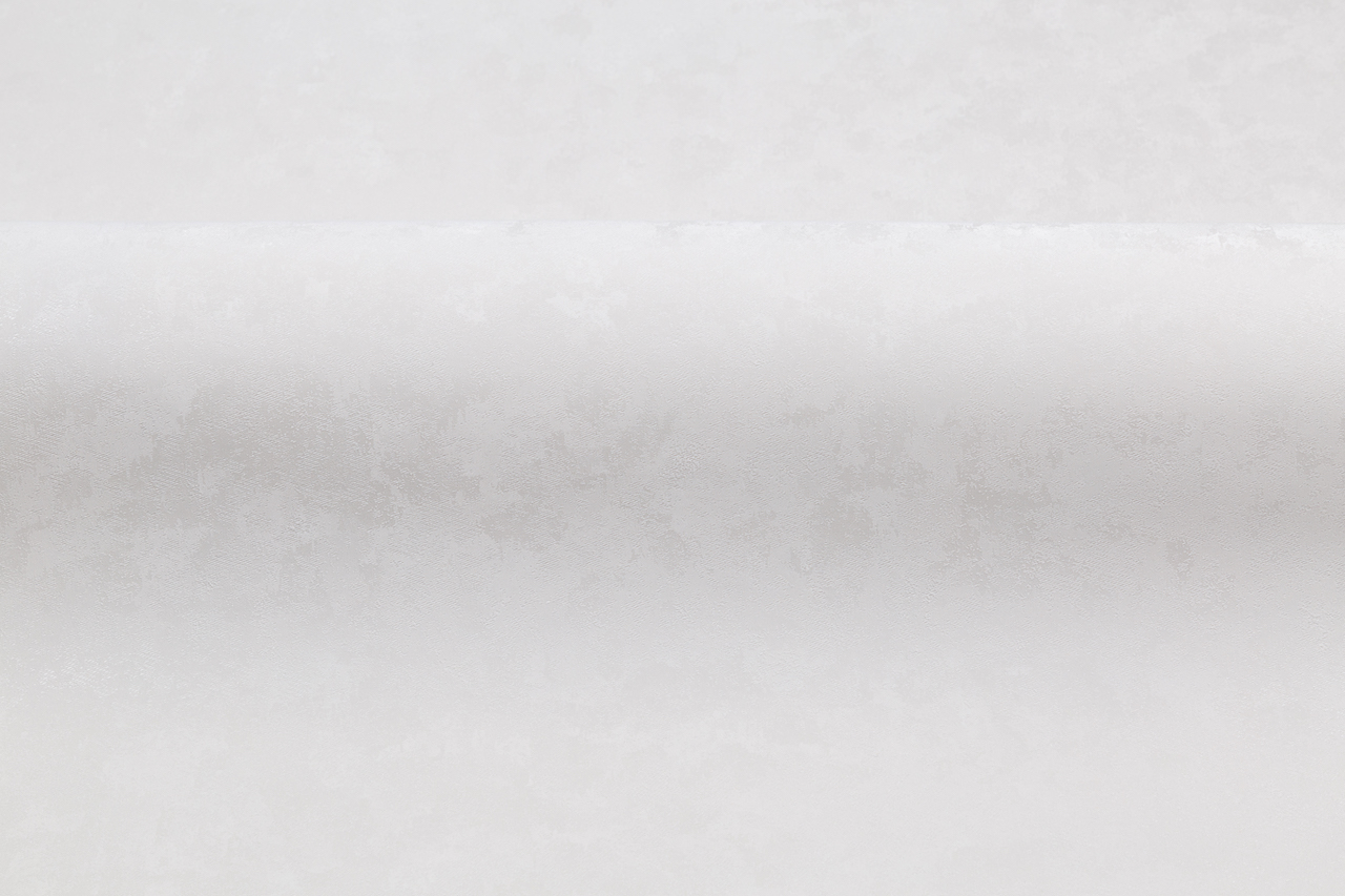 Обои Palitra Style арт SL72246-14 фото 4