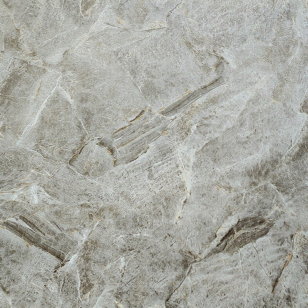 Обои Wiganford арт ER2109 фото 2