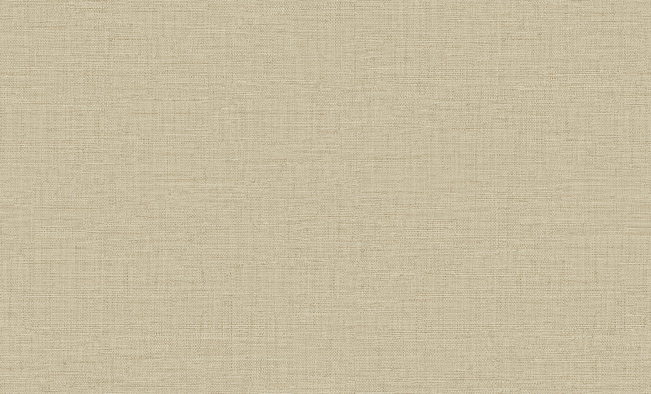 Обои Элизиум арт Е302503 фото 1