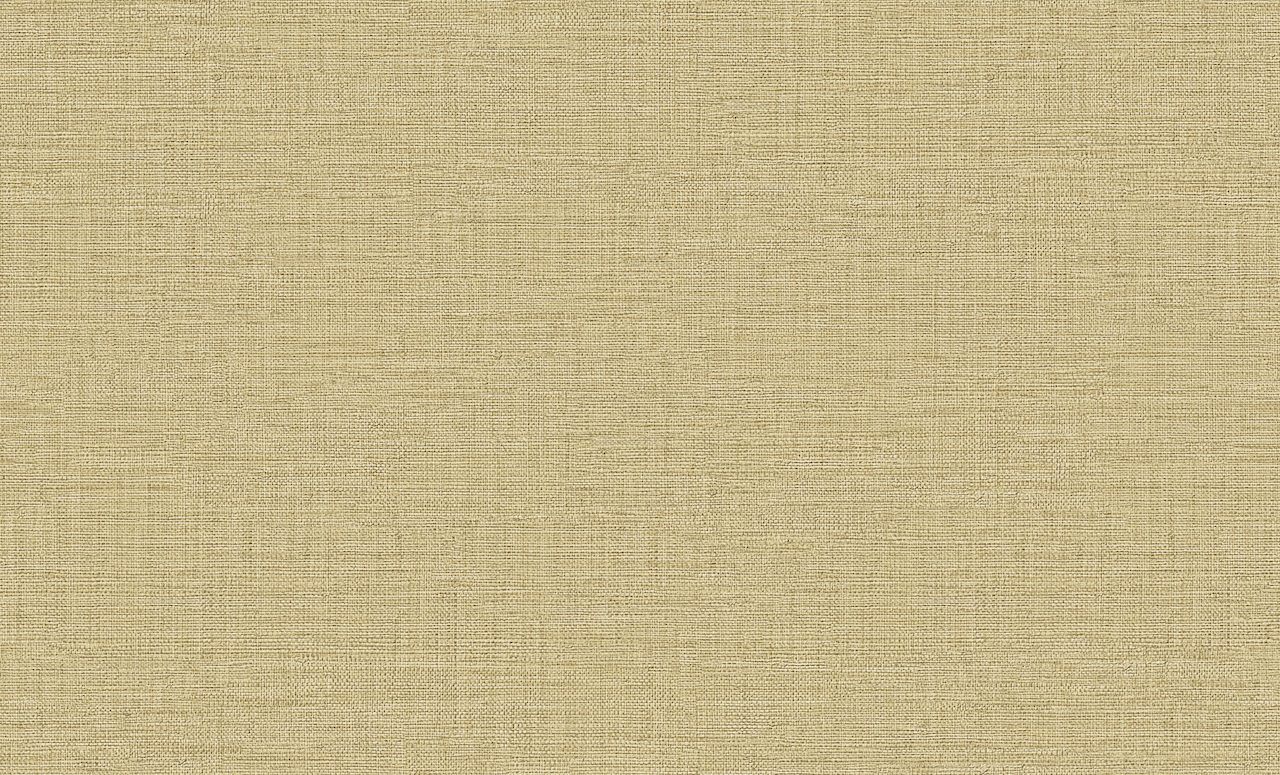 Обои Элизиум арт Е302505 фото 1