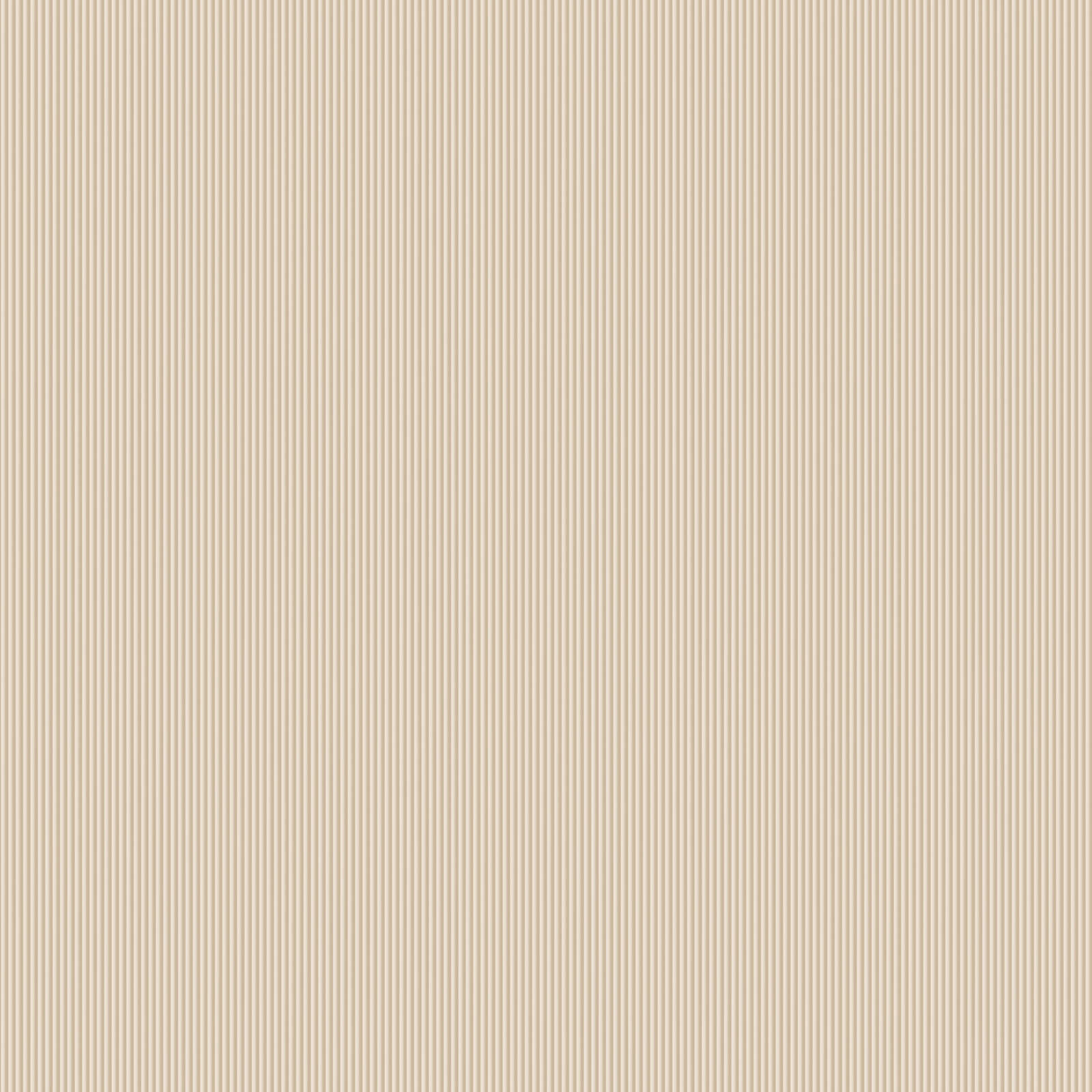 Обои Lamborghini арт Z12805 фото 1