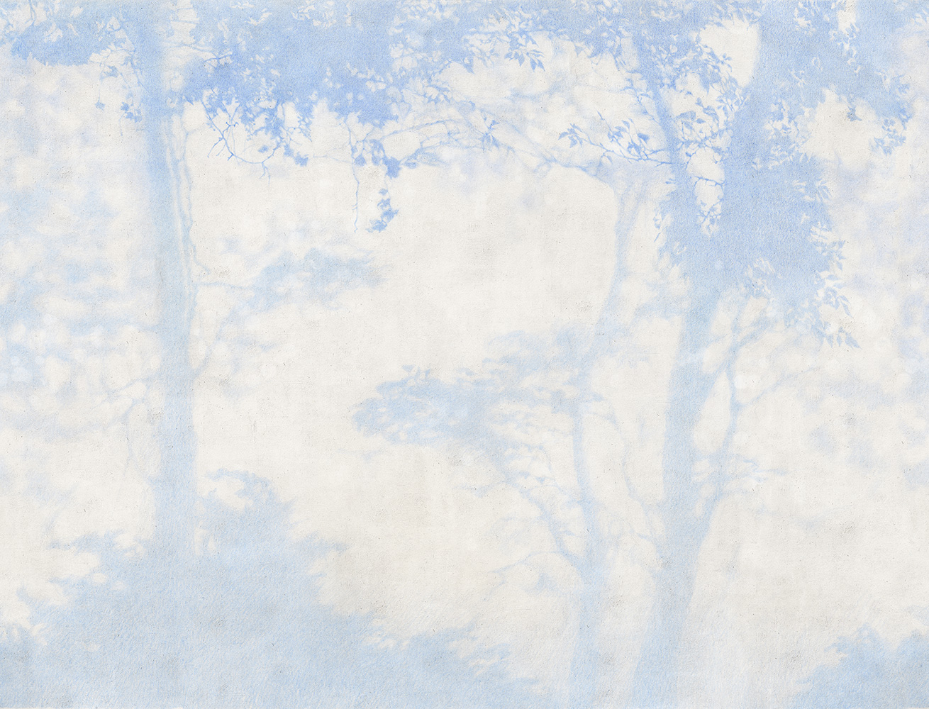 Фотообои Factura арт Siesta-1 фото 1