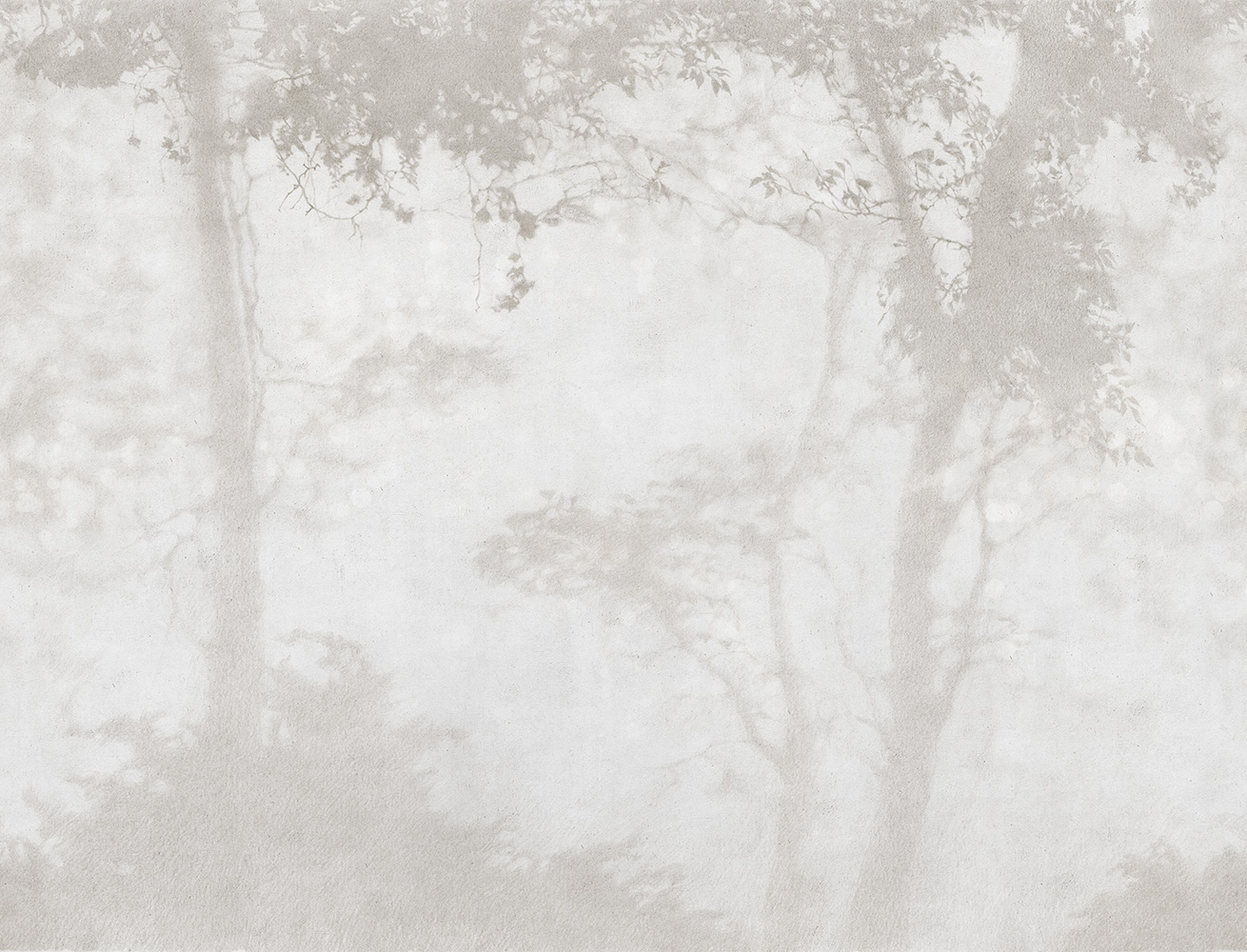 Фотообои Factura арт Siesta-3 фото 1