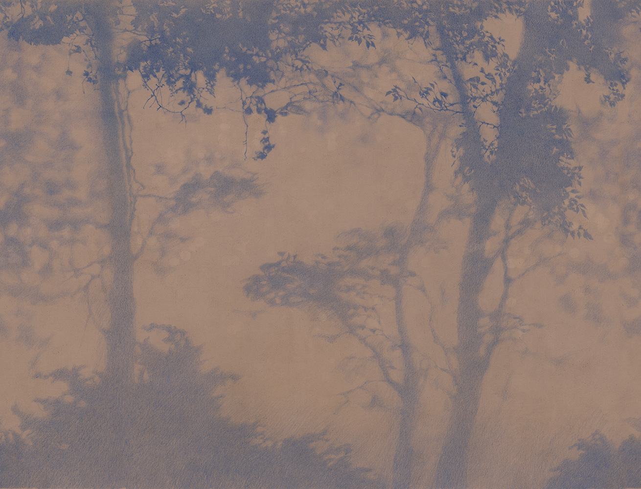 Фотообои Factura арт Siesta-5 фото 1