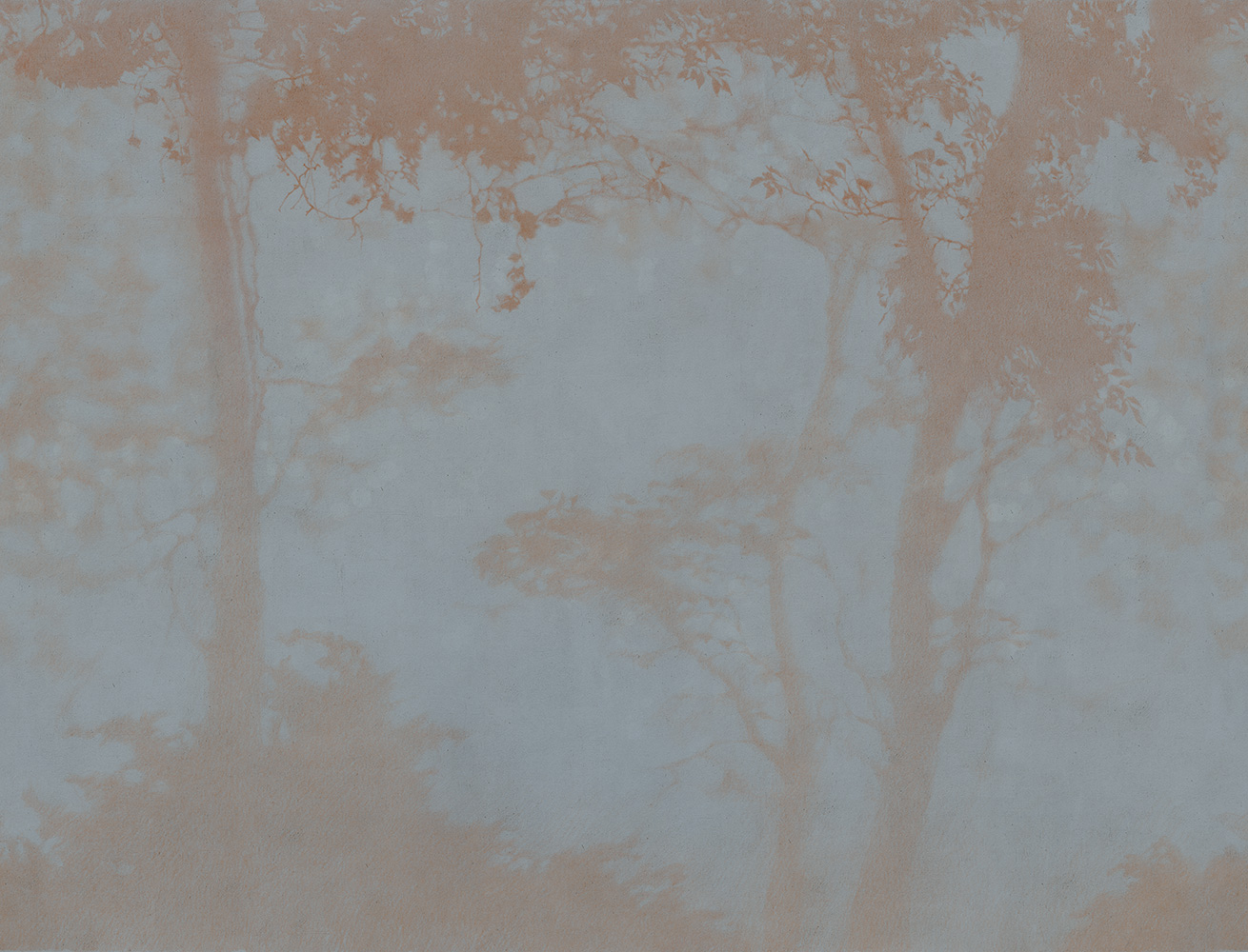 Фотообои Factura арт Siesta-6 фото 1