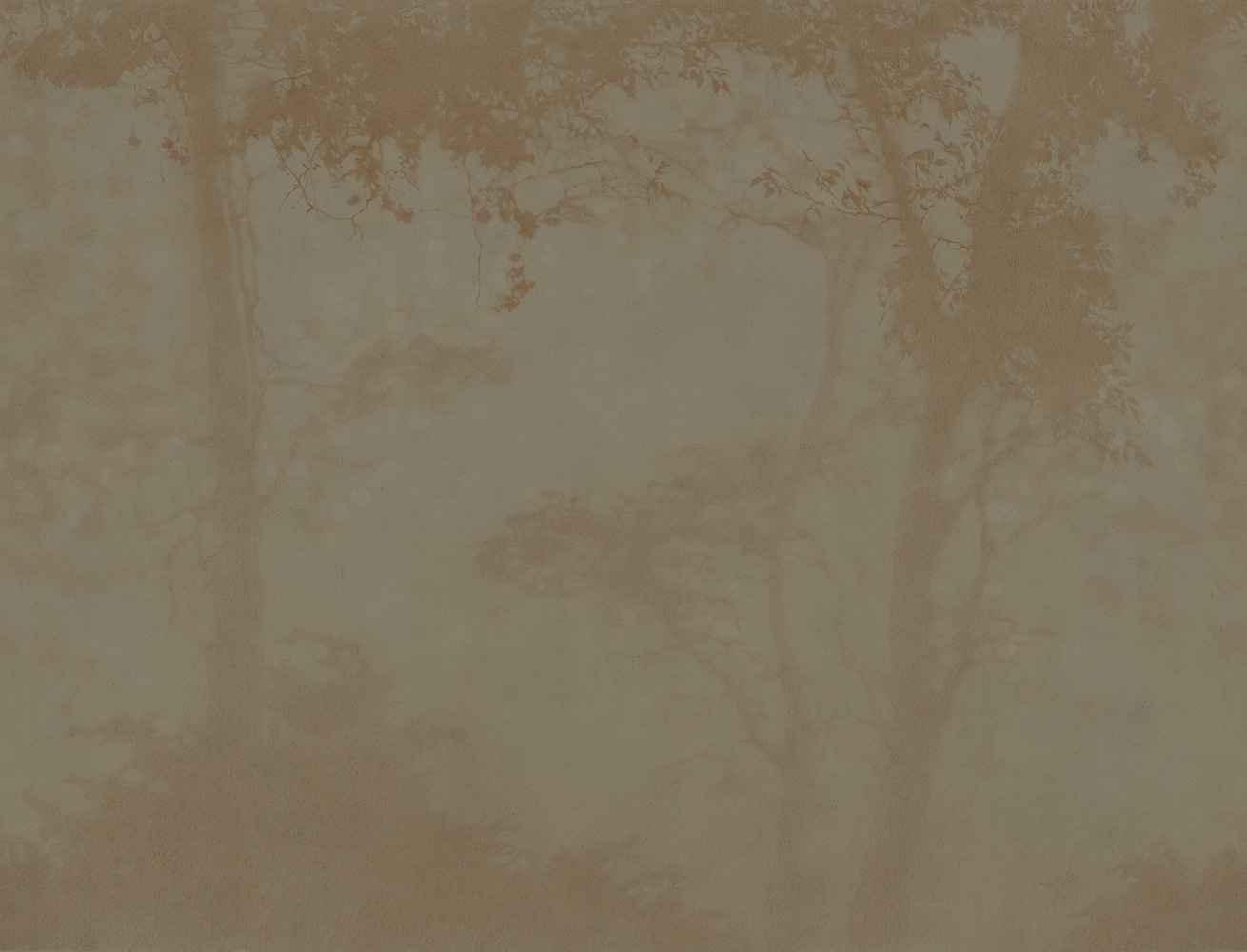 Фотообои Factura арт Siesta-8 фото 1