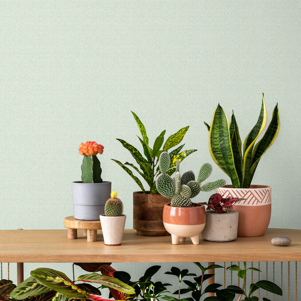 Обои Erismann арт 60832-07 фото 2