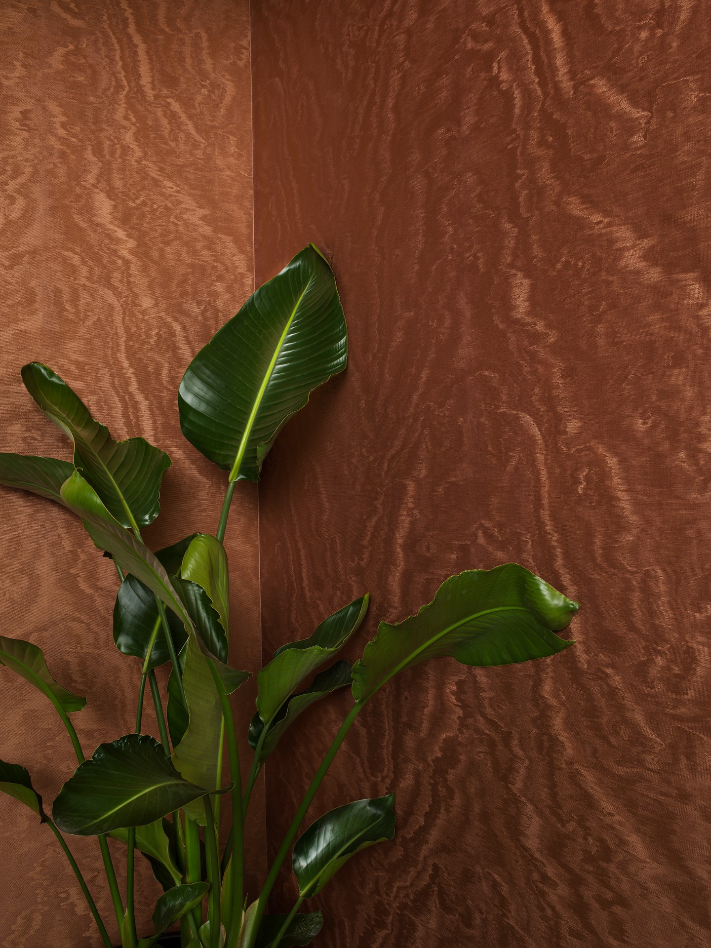 Обои Marburg арт 34926 фото 3