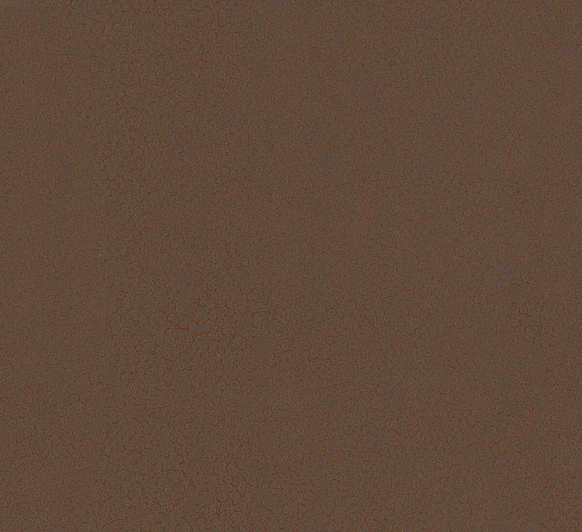 Обои Marburg арт 34958 фото 2