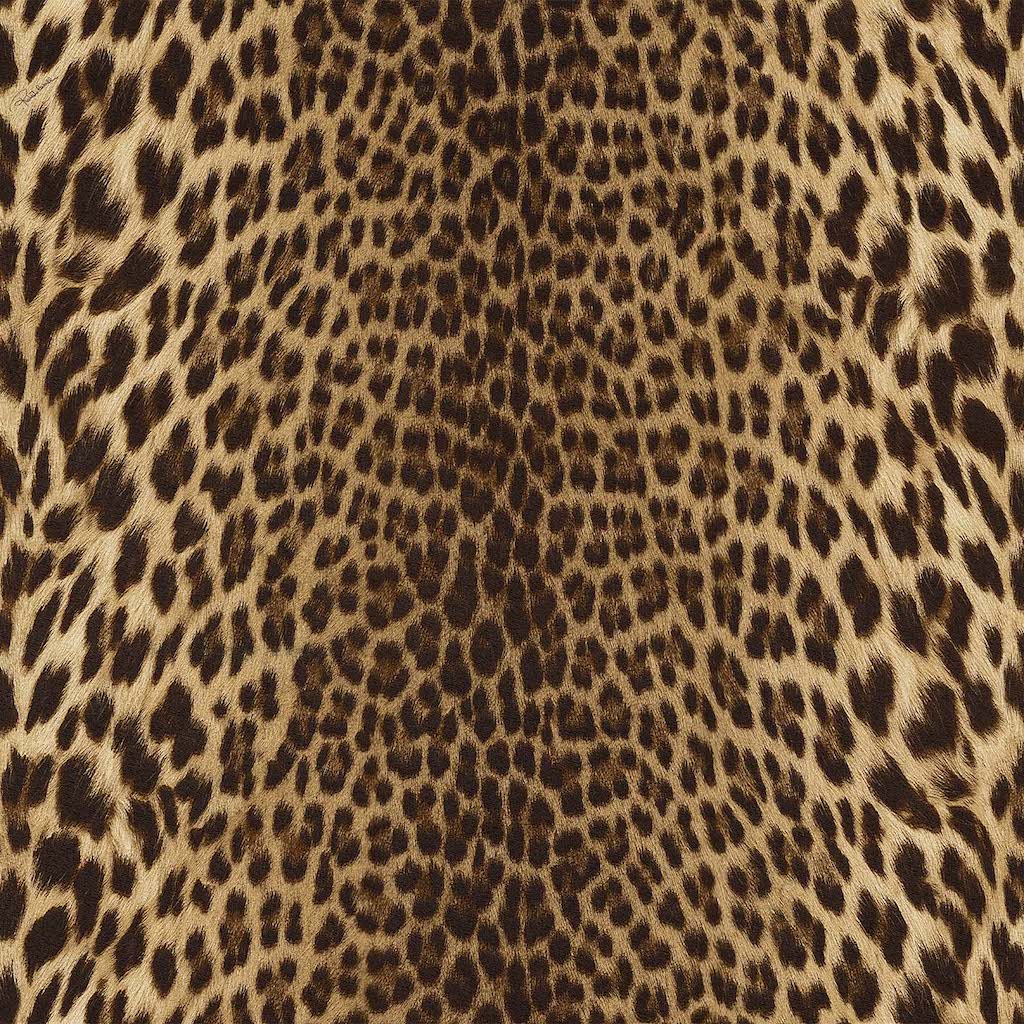 Обои Roberto Cavalli арт 21041 фото 3