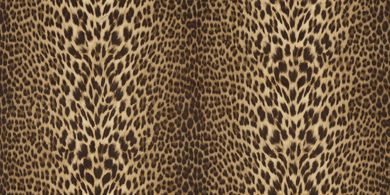 Обои Roberto Cavalli арт 21041 фото 1