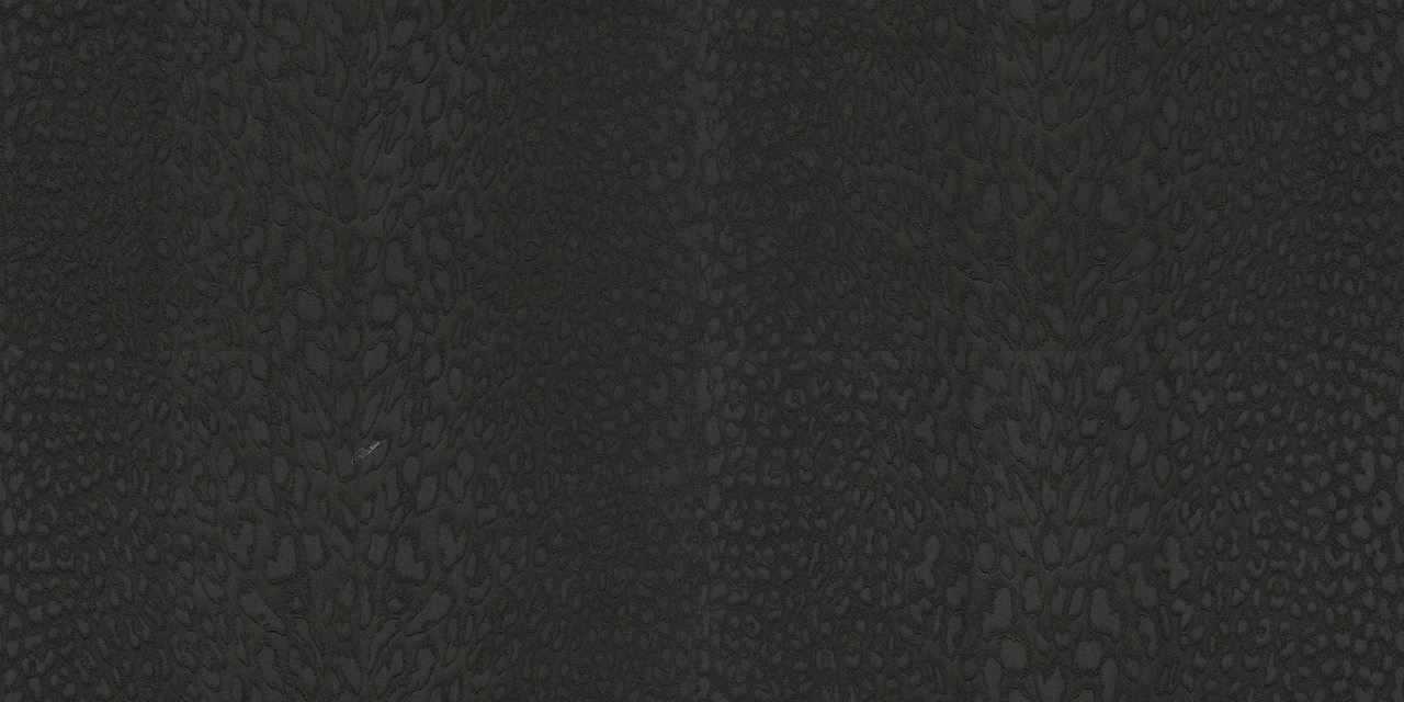 Обои Roberto Cavalli арт 21044 фото 1