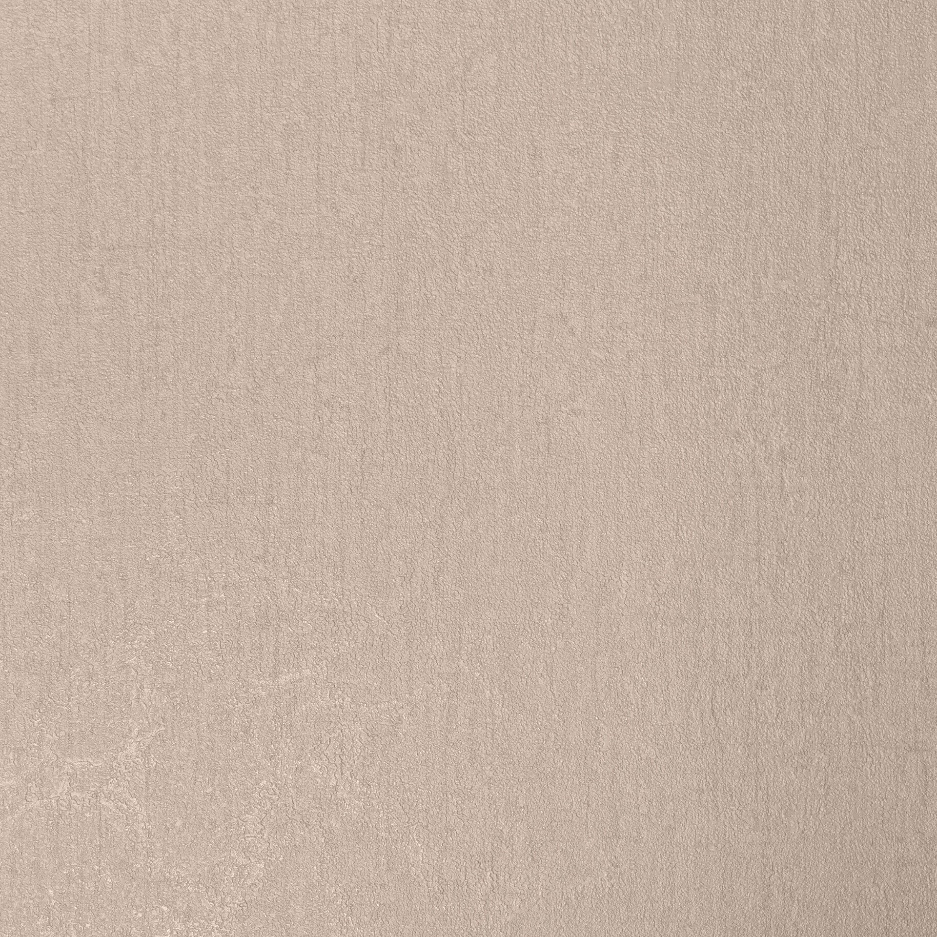 Обои Alessandro Allori арт RTE2402-6 фото 1