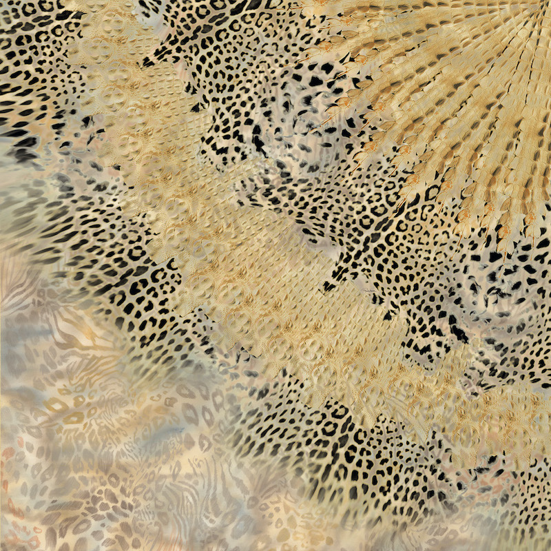 Панно Roberto Cavalli арт 21111 фото 1