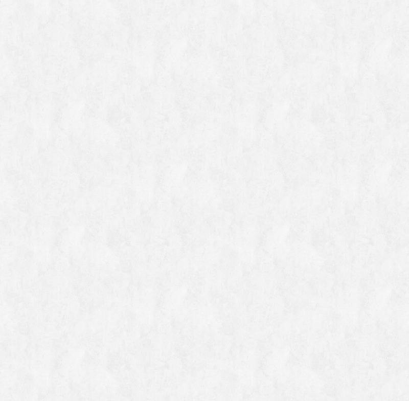 Обои Victoria Stenova арт 286961 фото 1