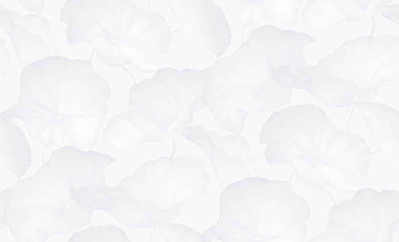 Обои Profi Deco арт 60714-01 фото 1