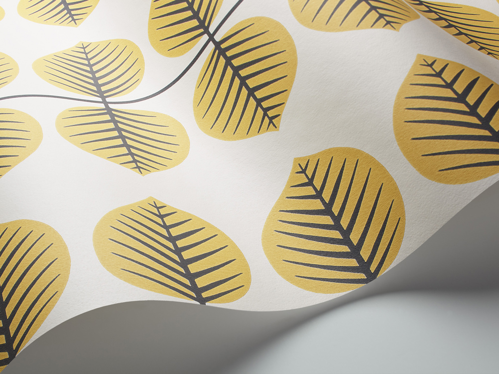 Обои Borastapeter арт 6244 фото 2