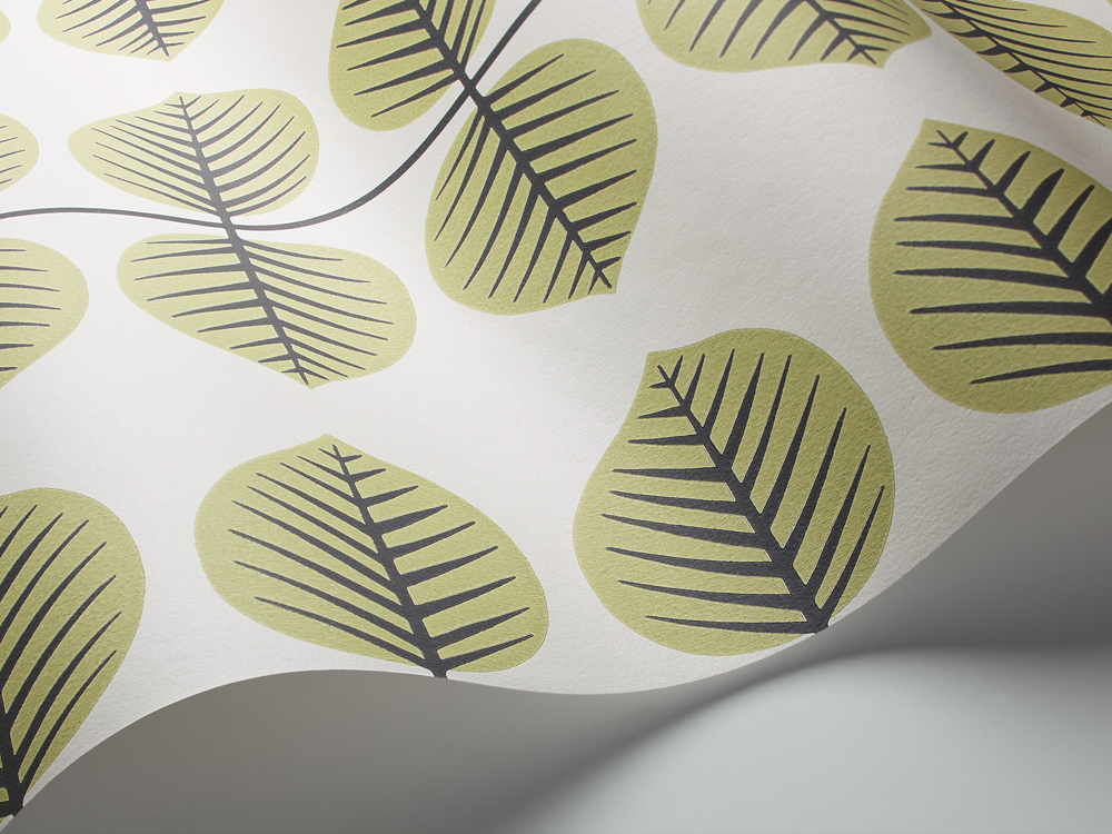 Обои Borastapeter арт 6245 фото 2