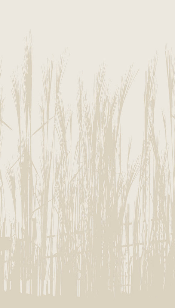 Фотообои A.S.Creation арт 39878-1 фото 1